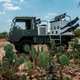 Illustration for article titled These Are The Insane Trucks Texans Use To Hunt Birds
